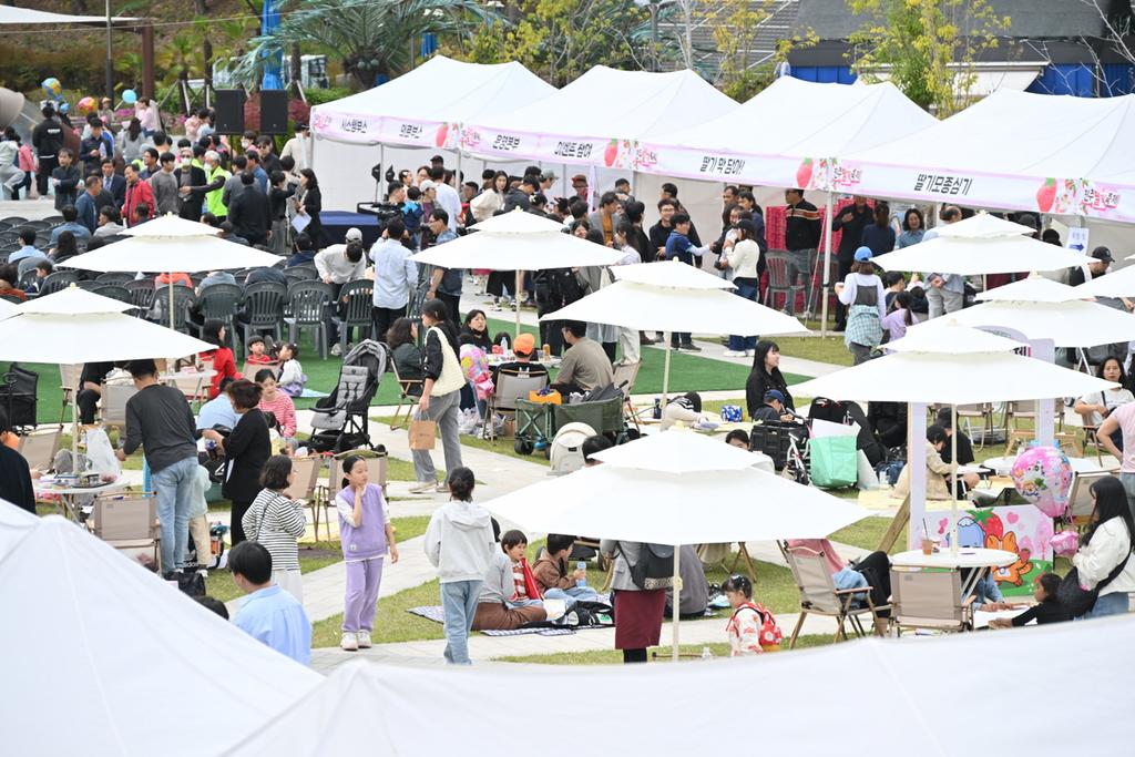 진주딸기축제 K-딸기의 위상 드높여