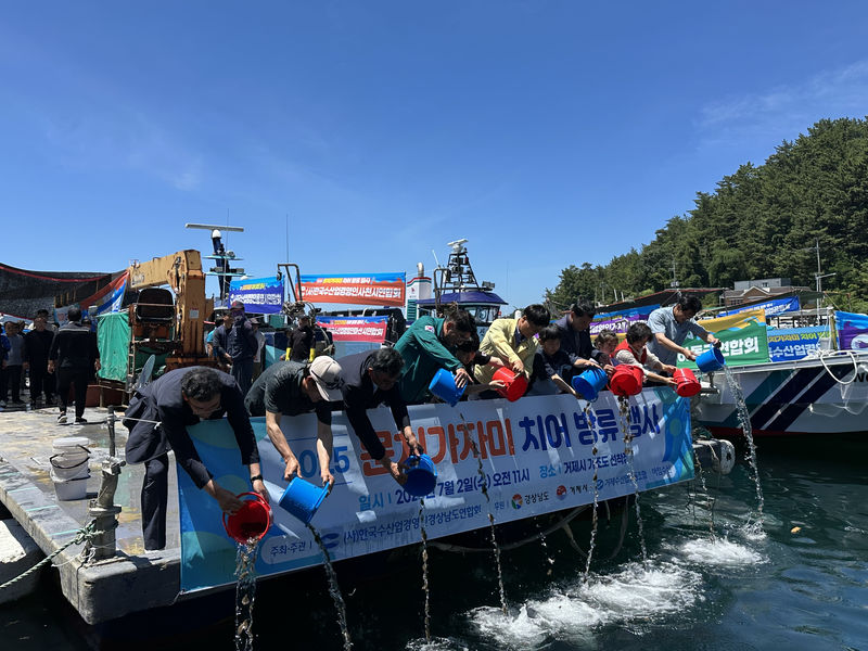 문치가자미 65만 마리, 거제 앞바다 방류