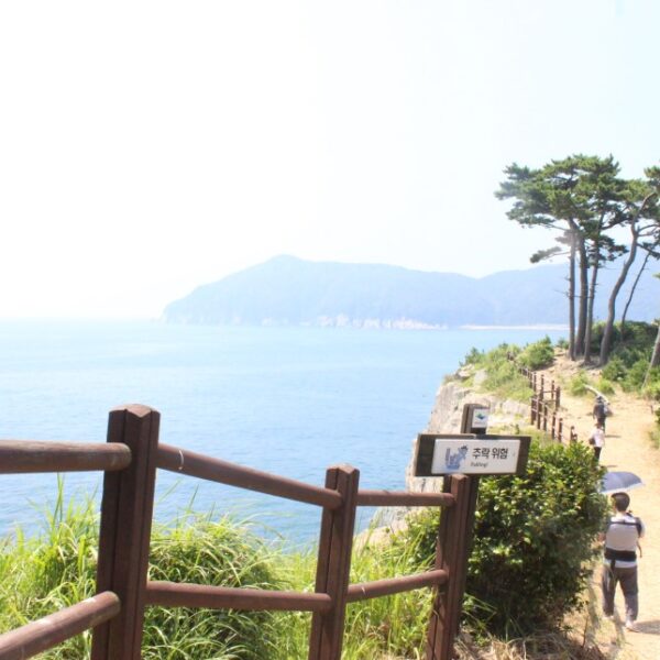 낭만의 섬 지심도에서 리마인드 웨딩 어때요?